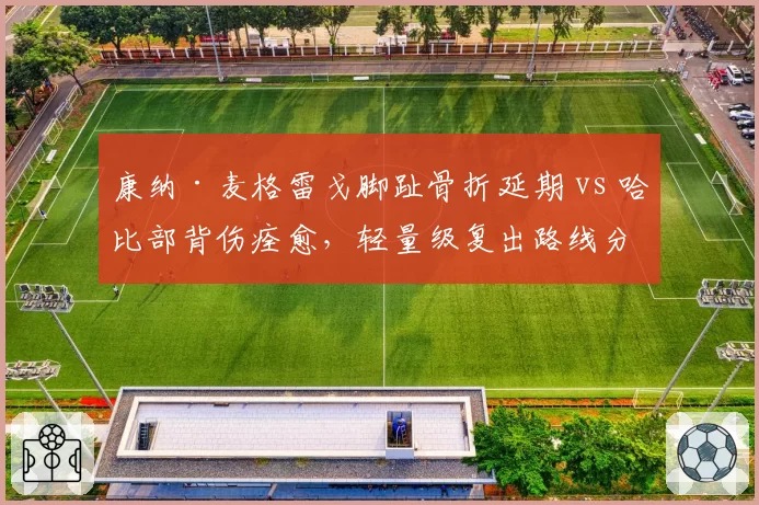 康纳·麦格雷戈脚趾骨折延期 vs 哈比部背伤痊愈，轻量级复出路线分化显著