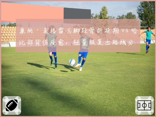 康纳·麦格雷戈脚趾骨折延期 vs 哈比部背伤痊愈，轻量级复出路线分化显著