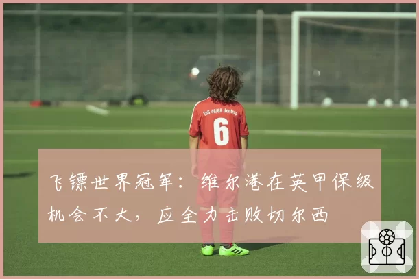 飞镖世界冠军：维尔港在英甲保级机会不大，应全力击败切尔西